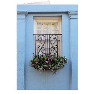 Rainbow Row Window Flower Box, Charleston, S.C.