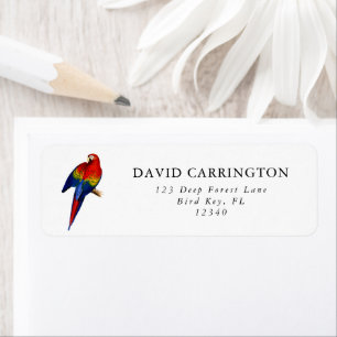 Rainbow Scarlet Macaw Tropical Rain Forest Bird