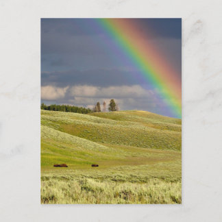 Rainbow Skies Office Personalize Destiny Destiny'S Postcard