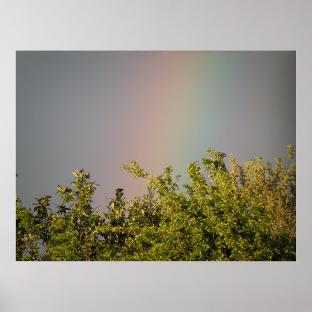 Rainbow Sky Print (Front)