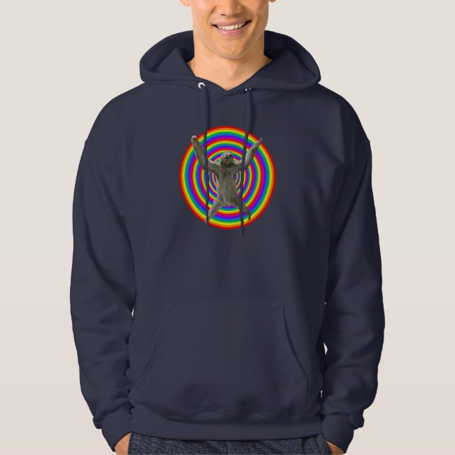 Rainbow Sloth Hoodie (Front)
