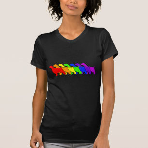 Rainbow Springer T-Shirt