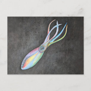 Rainbow Squid Postcard