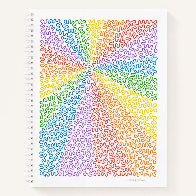 Rainbow Squiggles Notebook (Front)