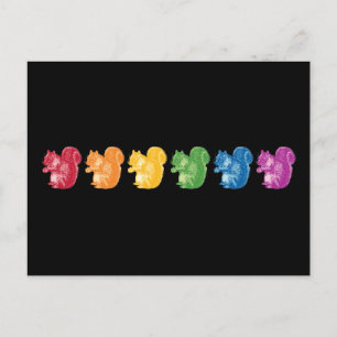 Rainbow Squirrels Postcard