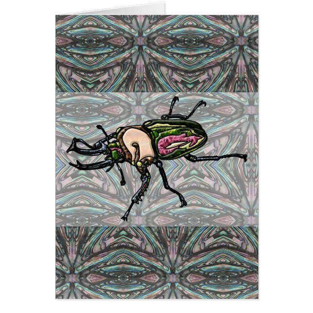 Rainbow Stag Beetle (Front)