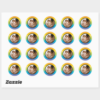 Rainbow Stripe With Photo Classic Round Sticker