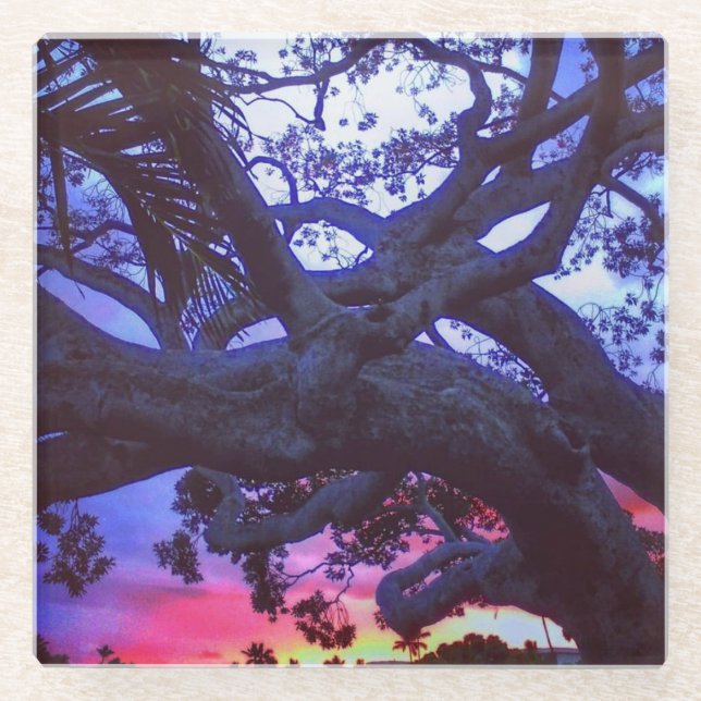 Rainbow Sunset with Tree Silhouette Glass Coaster (Front)