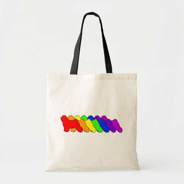 Rainbow Tibetan Tote Bag (Front)
