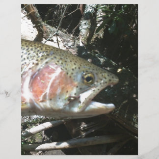 Rainbow trout