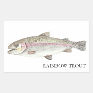 Rainbow Trout ニジマス Sticker
