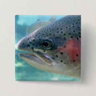 Rainbow Trout 2 Inch Square Button