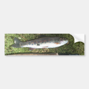 rainbow trout and fly fishing reel bumper sticker