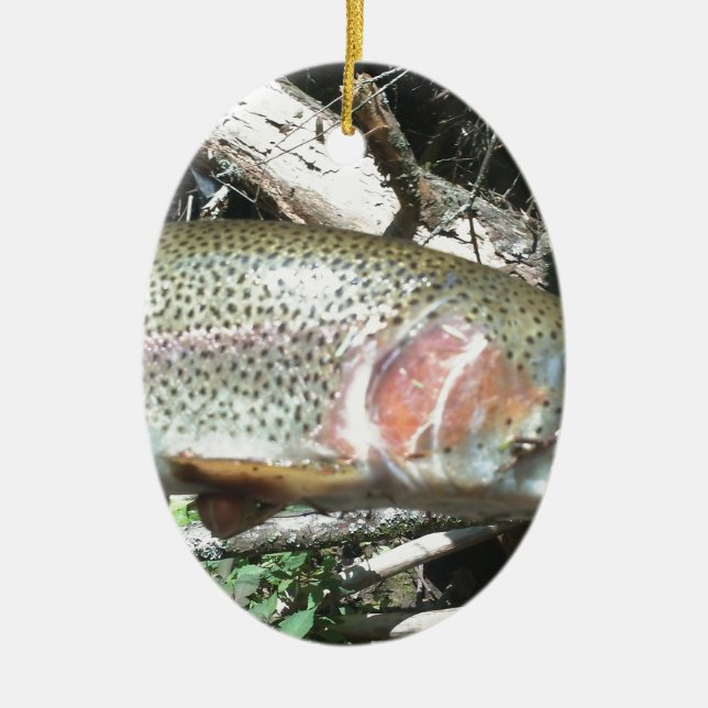Rainbow trout ceramic ornament (Front)
