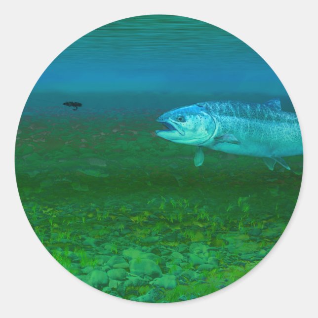 Rainbow Trout chasing a fly Classic Round Sticker (Front)