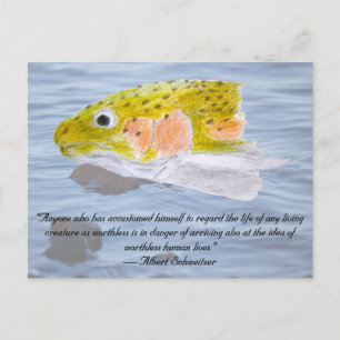 Rainbow Trout Coloured Pencil and Quote Postcard