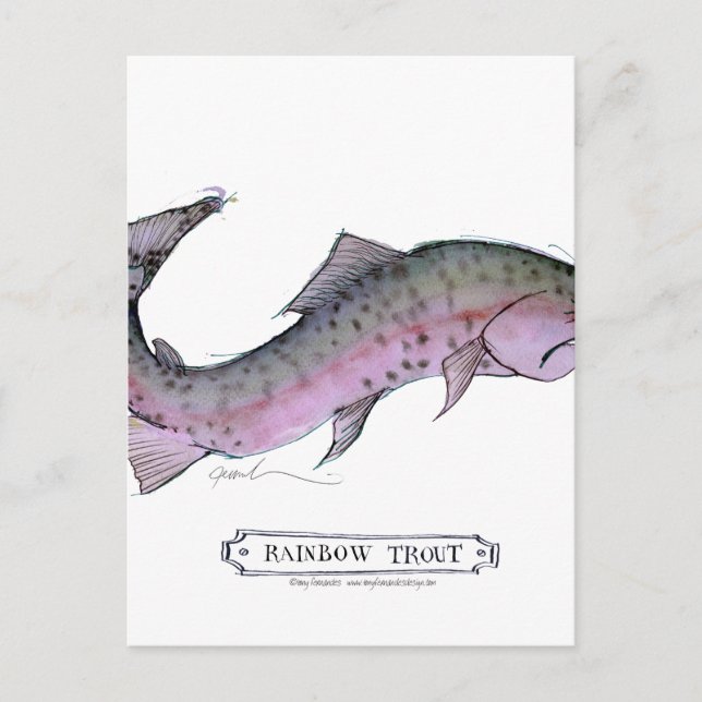 Rainbow Trout fish, tony fernandes Postcard (Front)