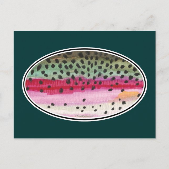 Rainbow Trout Fishing Postcard (Front)
