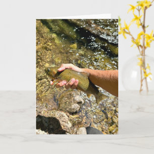 Rainbow Trout Fly Fishing Greeting Card