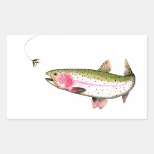 Rainbow Trout Fly Fishing Sticker