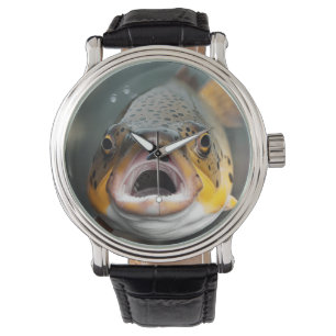 Rainbow Trout Flying Fishing Watch