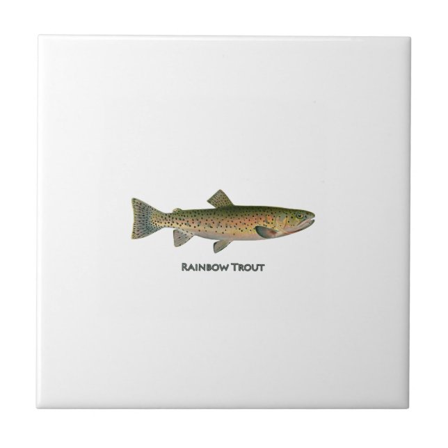 Rainbow Trout (freshwater) Tile (Front)