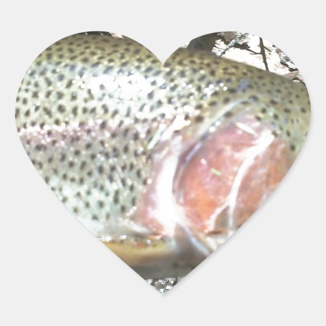 Rainbow trout heart sticker (Front)