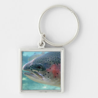 Rainbow Trout Keychain