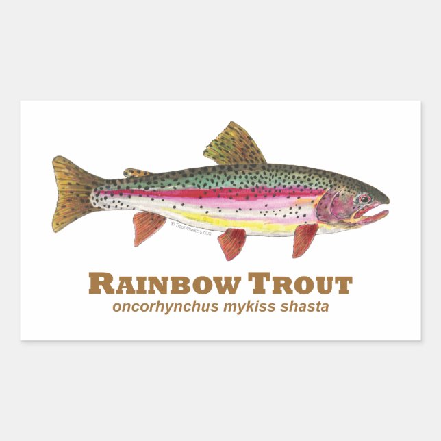 Rainbow Trout Latin Sticker (Front)