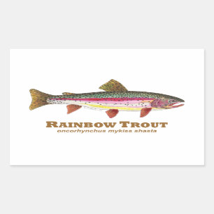 Rainbow Trout Latin Sticker