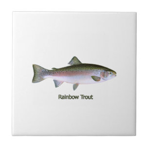Rainbow Trout Logo Tile