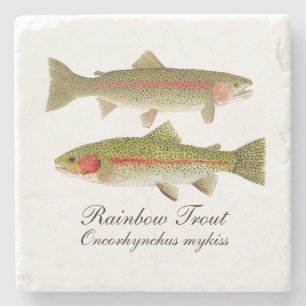 Rainbow Trout Marble Coaster