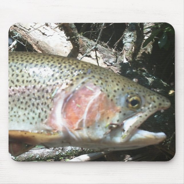 Rainbow trout mouse pad (Front)