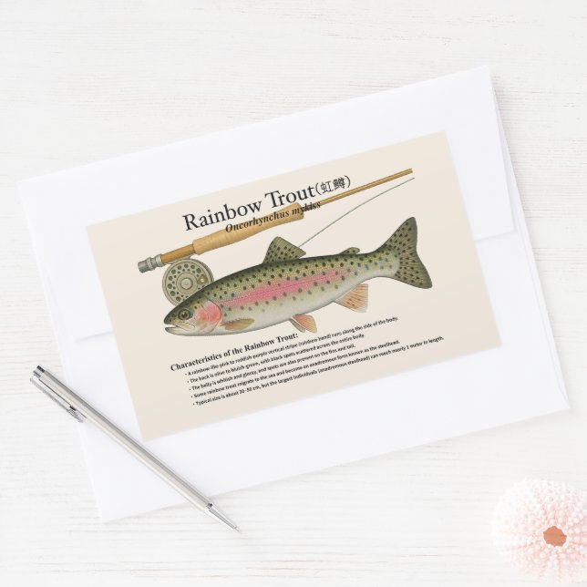 Rainbow Trout (Oncorhynchus mykiss) – English Rect Sticker (Envelope)