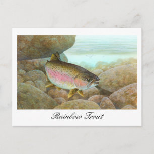 Rainbow Trout Painting Postcard