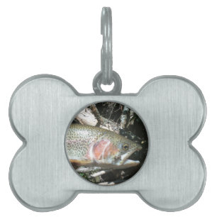 Rainbow trout pet ID tag