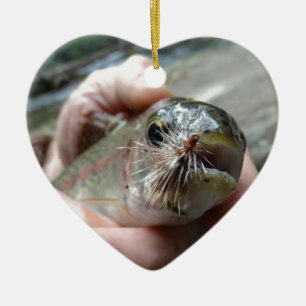 Rainbow Trout photo Ceramic Ornament
