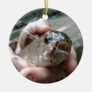 Rainbow Trout photo Ceramic Ornament