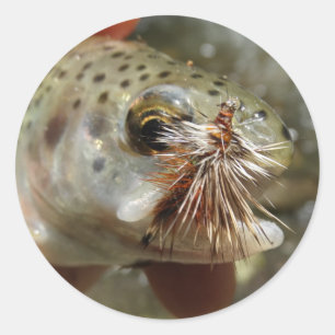 Rainbow Trout photo Classic Round Sticker