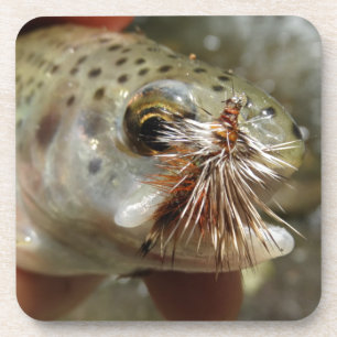 Rainbow Trout photo Coaster