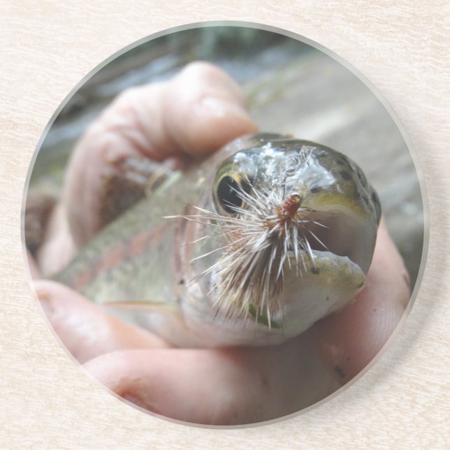 Rainbow Trout photo Coaster (Front)