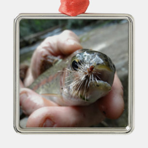Rainbow Trout photo Metal Ornament
