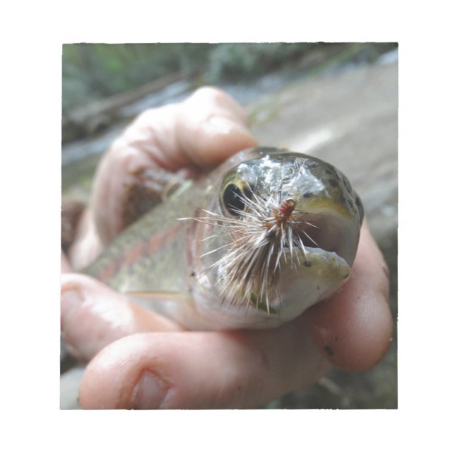 Rainbow Trout photo Notepad (Front)