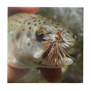 Rainbow Trout photo Tile
