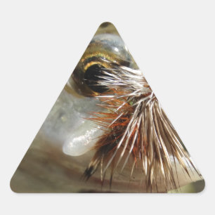 Rainbow Trout photo Triangle Sticker