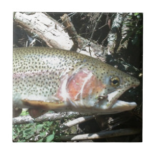 Rainbow trout tile