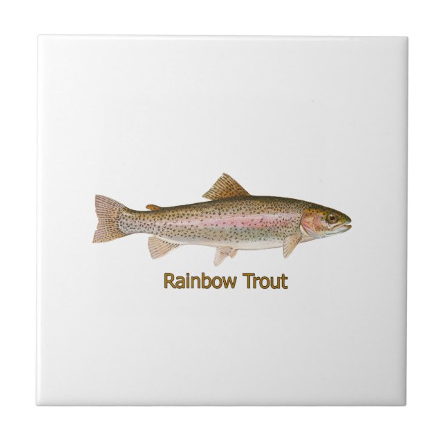 Rainbow Trout (titled) Tile (Front)
