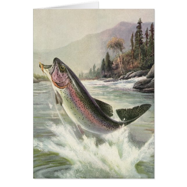 Rainbow Trout, Vintage Fisherman Fishing for Fish (Front)
