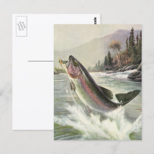 Rainbow Trout, Vintage Fisherman Fishing for Fish Postcard