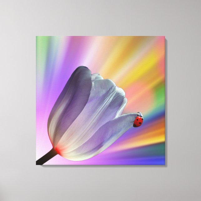 Rainbow, Tulips and Ladybug Canvas Print (Front)